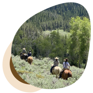 Guest Ranch Vacations