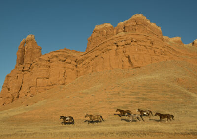 18aa5b0be_jeff_vanuga-008