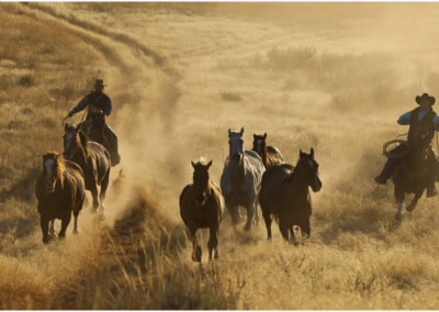 1f3e157_hideoutdarrell0072