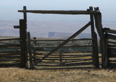 41c9501744f_img_1805