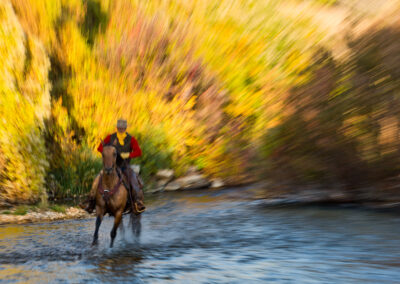 41c9501744f_twe_wy_100312_0258