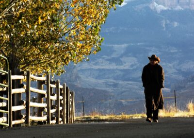 4be3d9f5810__dsc8440-copie