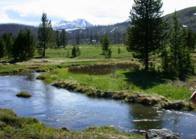 6723a49c55__dscn2504