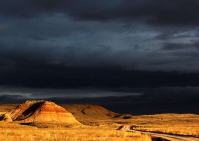 6f5e946fcea___dsc8384-copie