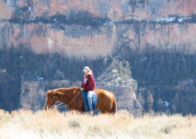 6f5e946fcea__img_0068