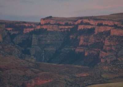 6f5e946fcea__img_5386