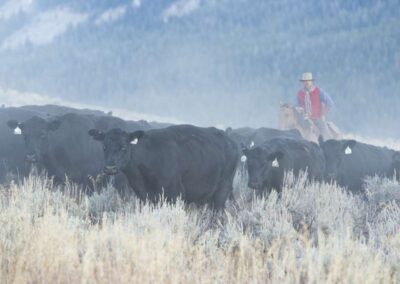 6f5e946fcea__jeff_vanuga-014