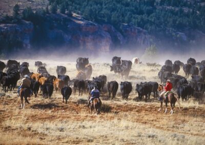 6f5e946fcea_copy-of-april