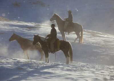 6f5e946fcea_darrell-gulin-winter-2010-054