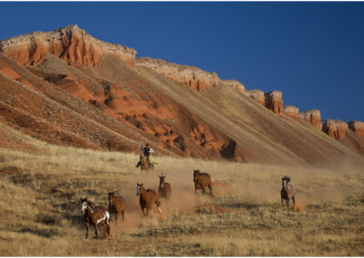 6f5e946fcea_hideoutdarrell0006