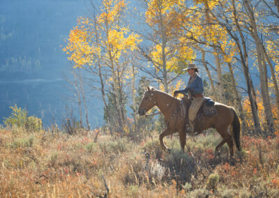 6f5e946fcea_jeff_vanuga-009