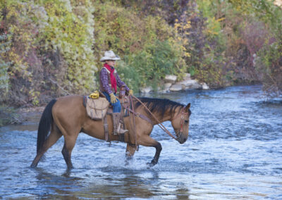 6f5e946fcea_jeff_vanuga-035