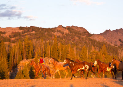 6f5e946fcea_twe_wy_100212_2191