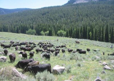 7629de3dd75__img_3069