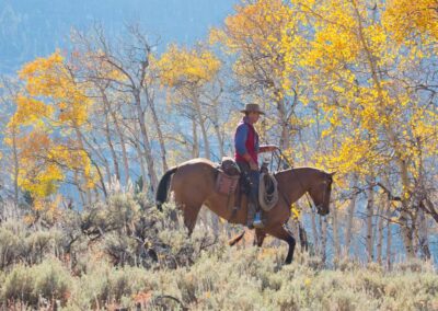 7d71d9d0f0__twe_wy_100112_2011