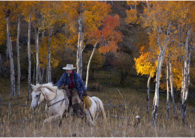 91e0e7114ab_hideoutdarrell0051