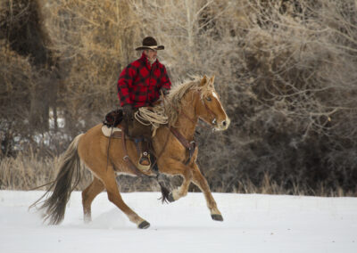 Winter 2014 Hideout Ranch, WY