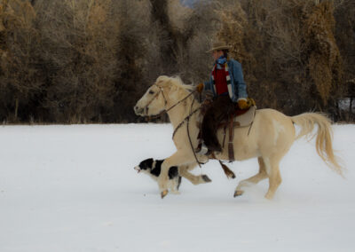 Winter 2014 Hideout Ranch, WY
