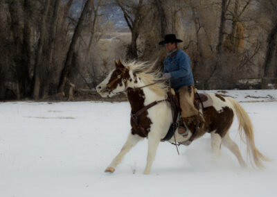 Winter 2014 Hideout Ranch, WY