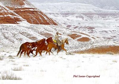 c7a337__mg_2108-72dpi