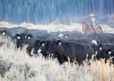 c7a337_twe_wy_100112_2351