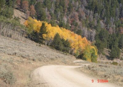 e5b5b6702fe7__pictures-snowshoe-web-026