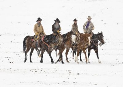 new30788copyofhideout109-gif