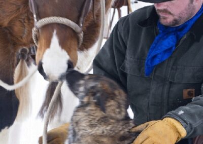 new39186hideout088-gif