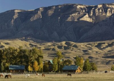 new39194thehideout-gif