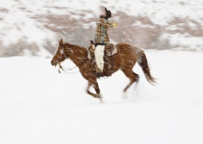 new40594hideout117-gif