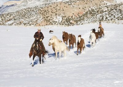 new47545copyofhideout099-gif