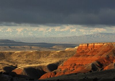 new48117copyofforever-gif