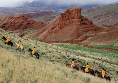 new52542copyof08cal7-gif