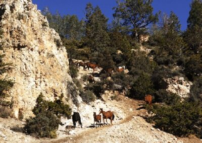 new95651runtothehideout