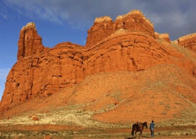 new98532copyofdsc8451copie-gif