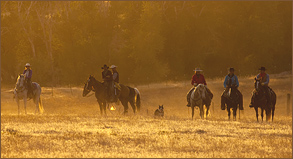 riding-guides