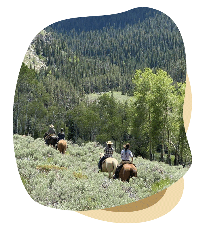 Guest Ranch Vacations
