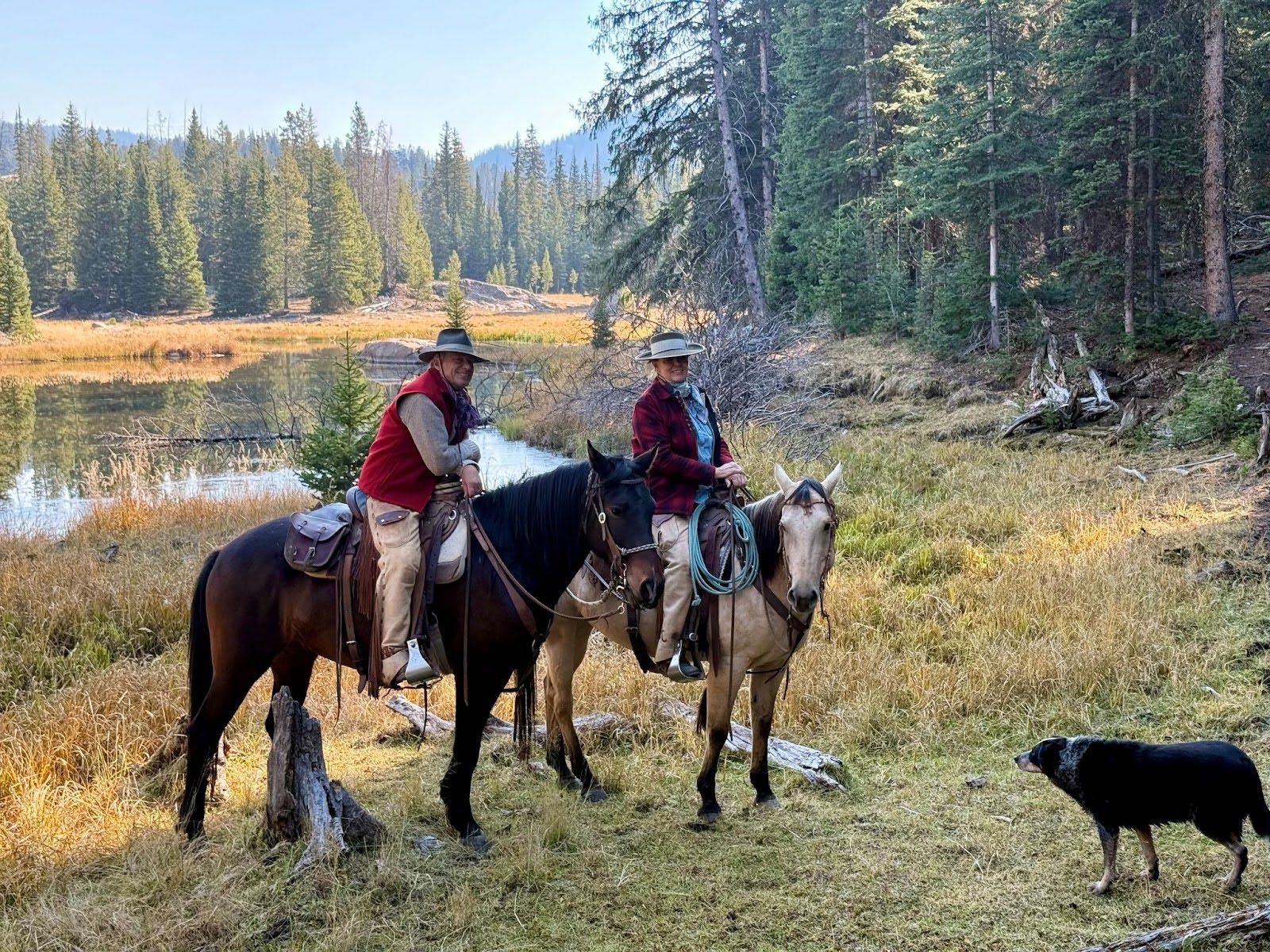 The Hideout’s herd of Mustangs