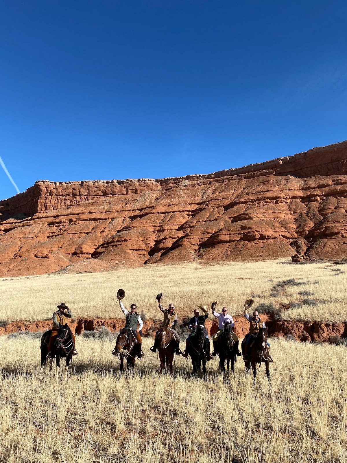 The Hideout’s herd of Mustangs