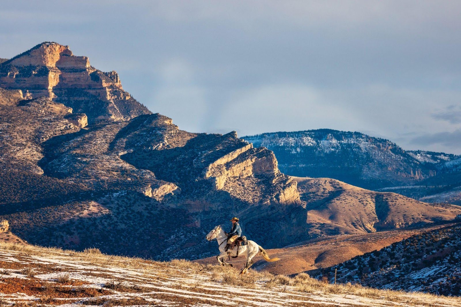 The Hideout’s herd of Mustangs