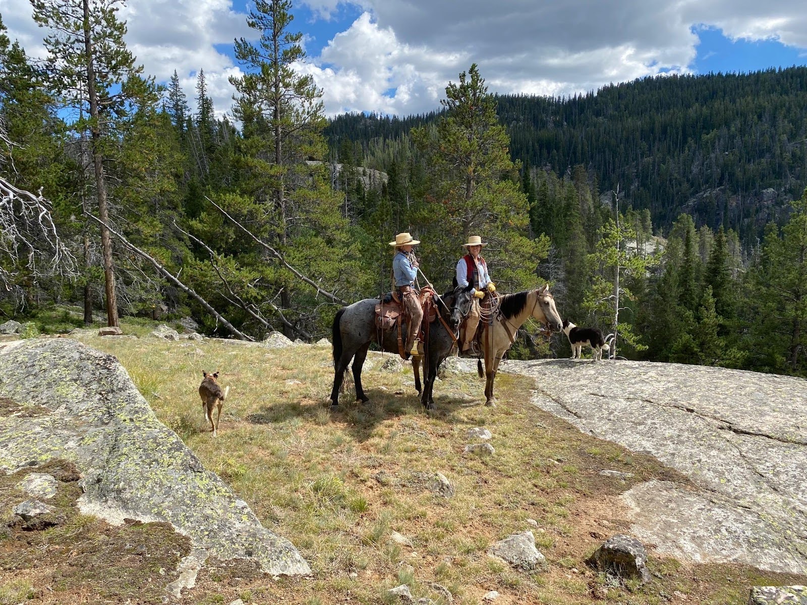 Group of happy female riders