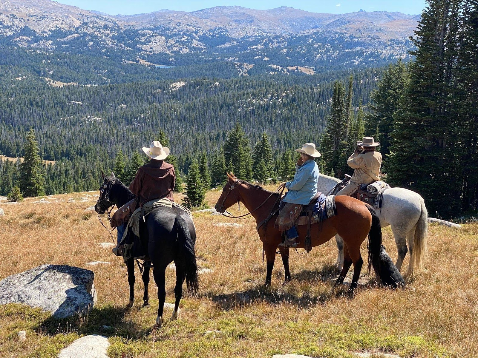 The Hideout’s herd of Mustangs