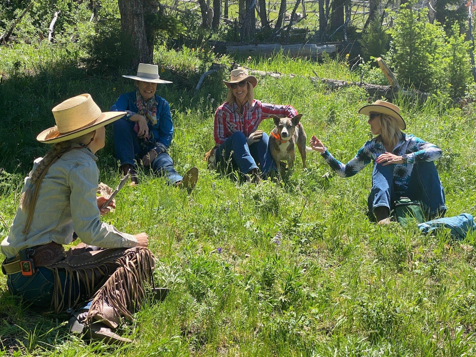 The Hideout’s herd of Mustangs