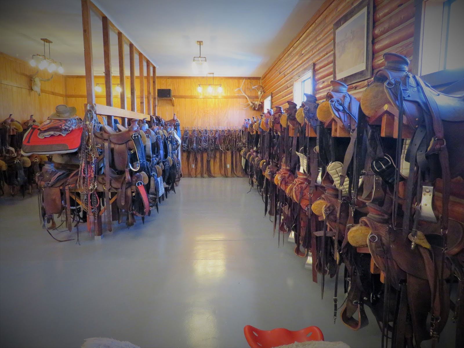 Riders galloping across stunning Wyoming wilderness