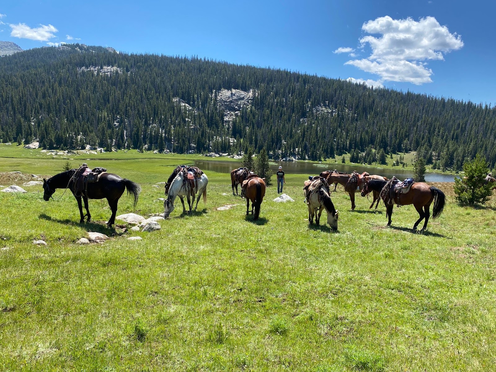 Riders galloping across stunning Wyoming wilderness