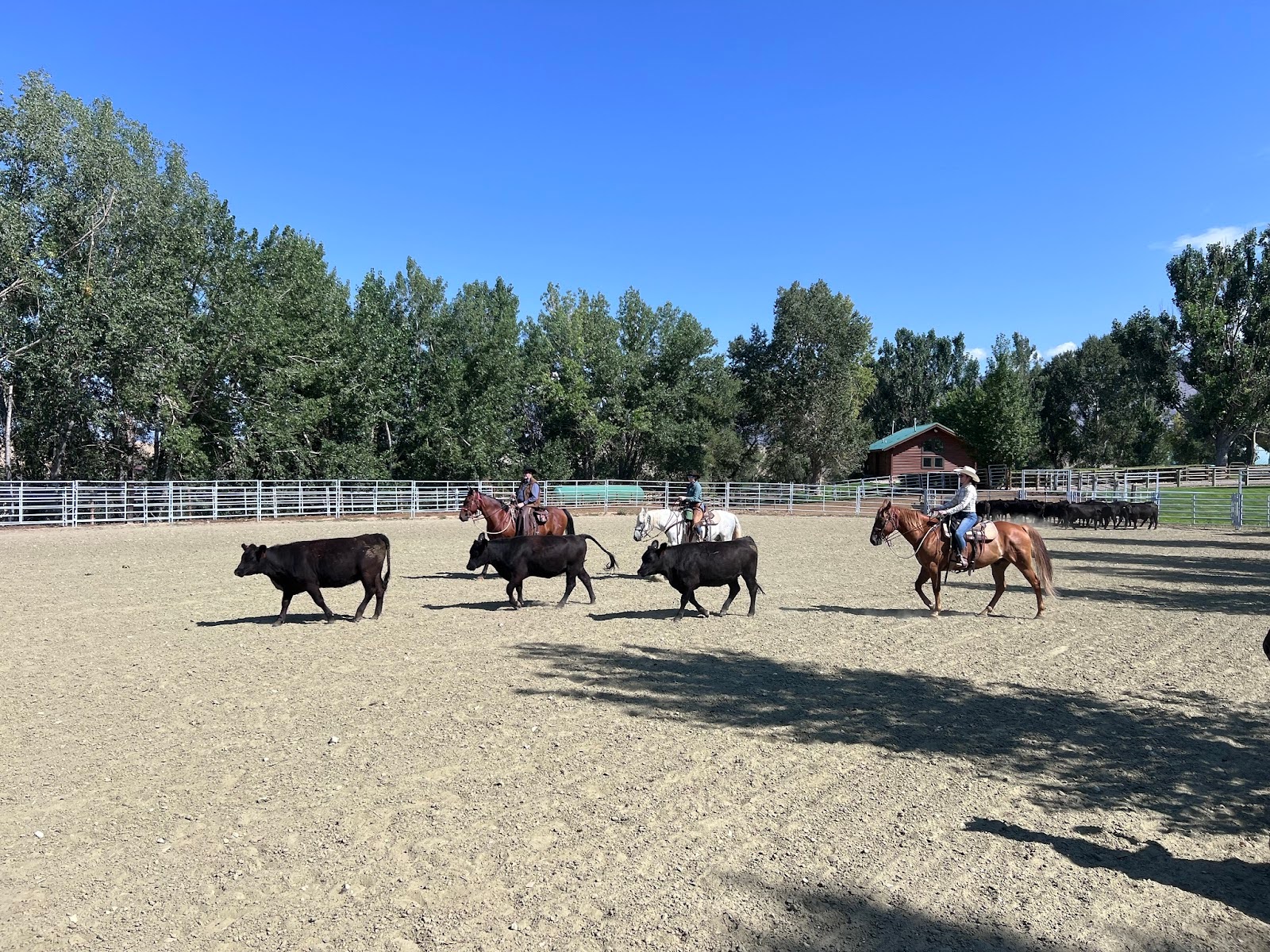 Riders galloping across stunning Wyoming wilderness