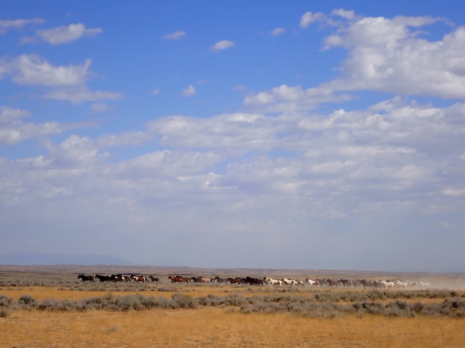 Riders galloping across stunning Wyoming wilderness