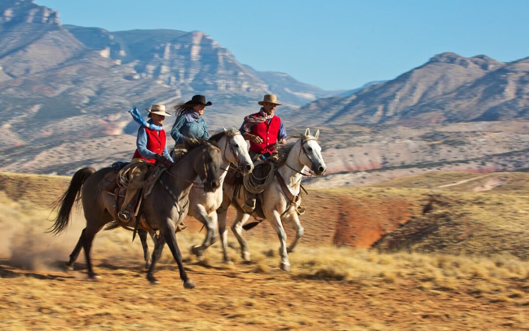 All is well at The Hideout