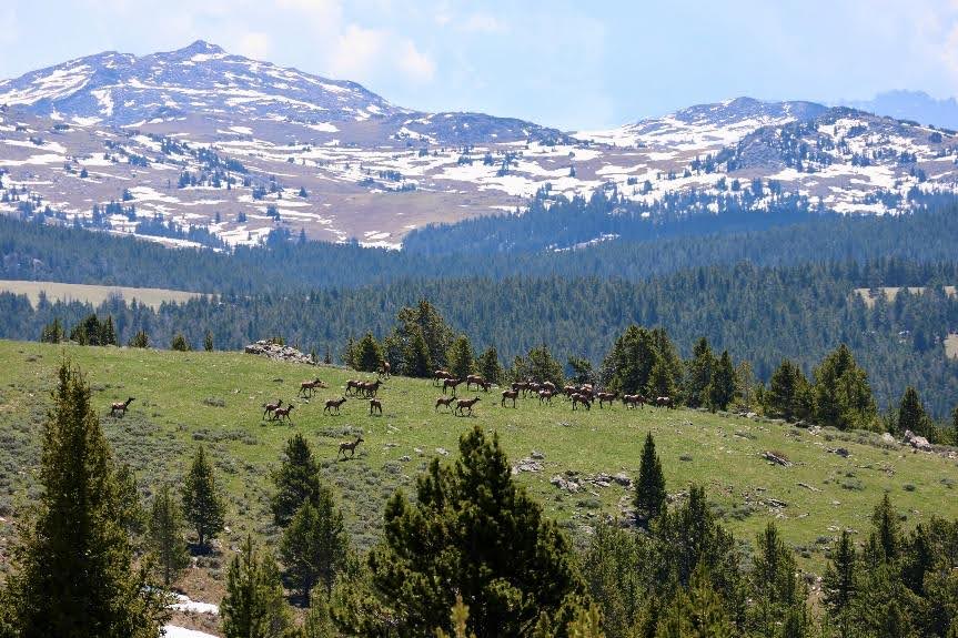 Riders galloping across stunning Wyoming wilderness