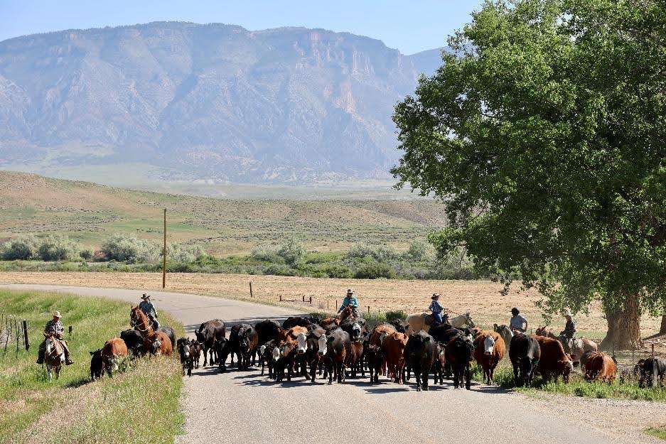 Riders galloping across stunning Wyoming wilderness